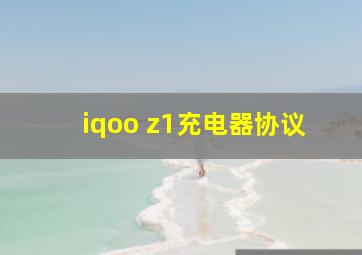 iqoo z1充电器协议